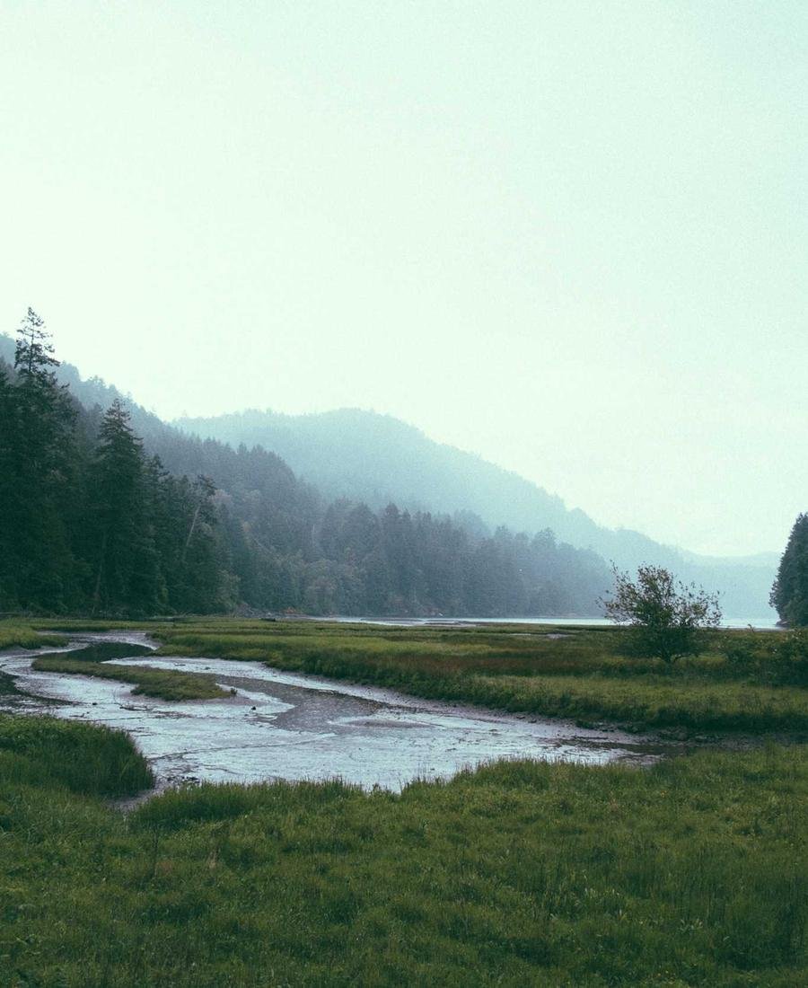 A river in fog