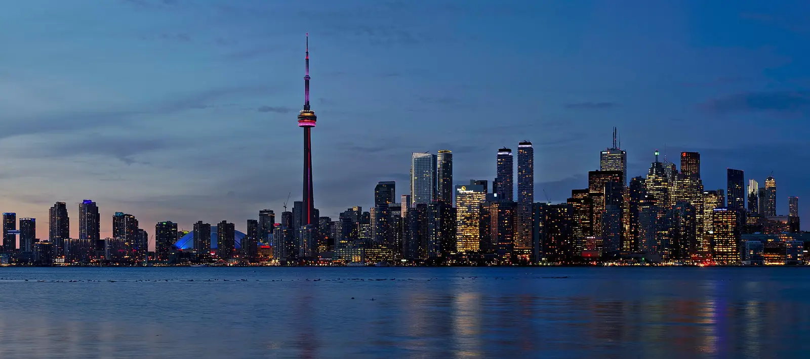 The Toronto skyline and CN Tower at night