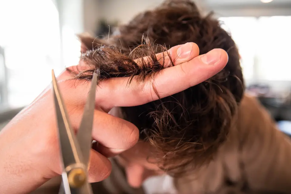 A hairdresser cutting hair