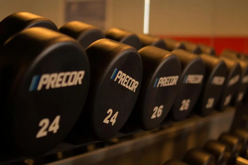 A rack of dumbbells in a gym